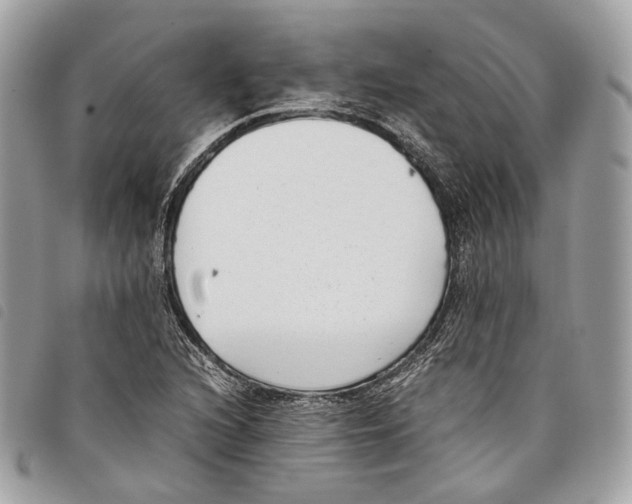 X0000097821216200804111007