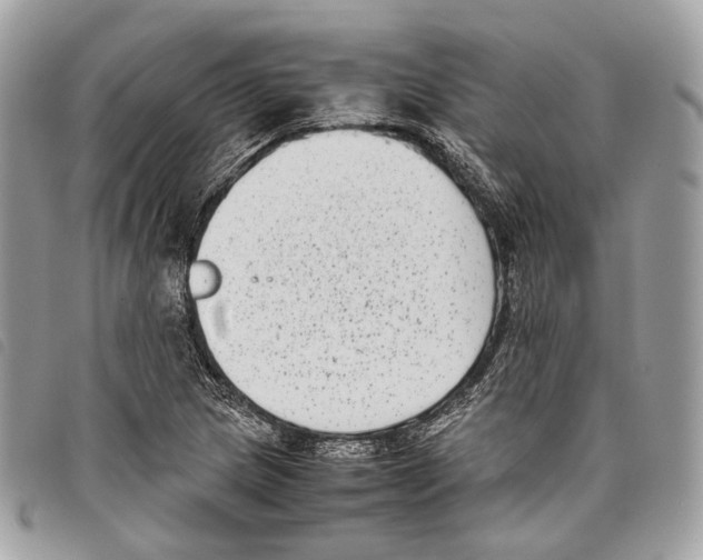 X0000097821217200804111007