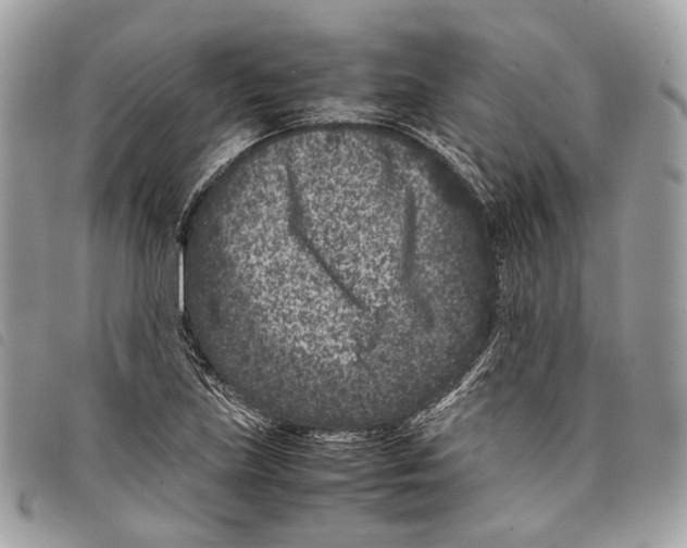 X0000097821219200804111007