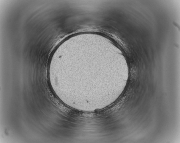 X0000097821220200804111007