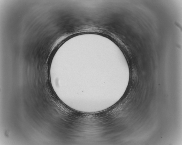 X0000097821222200804111007