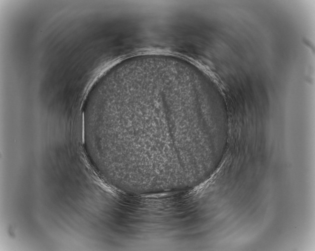 X0000097821223200804111008