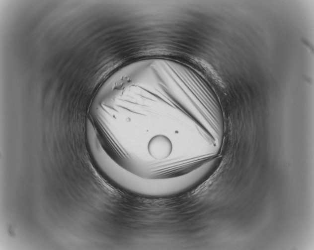 X0000097821225200804111008