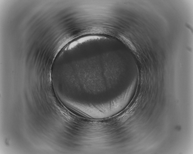 X0000097821226200804111008