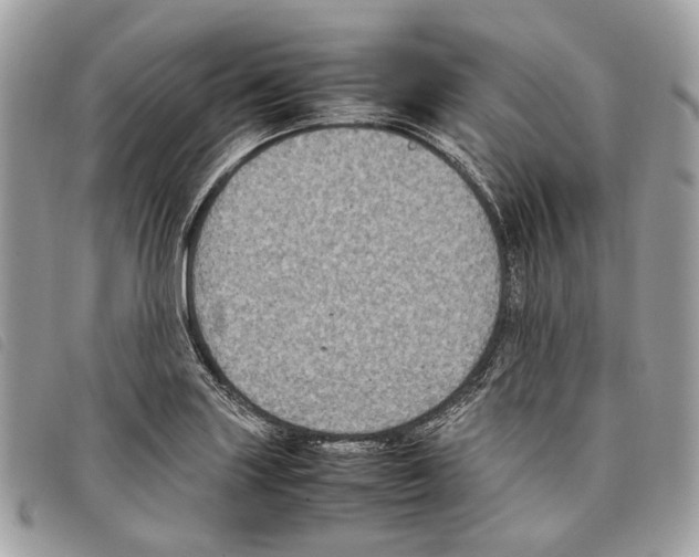 X0000097821227200804111008