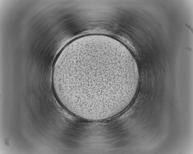 X0000097821228200804111008