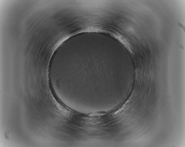 X0000097821229200804111008