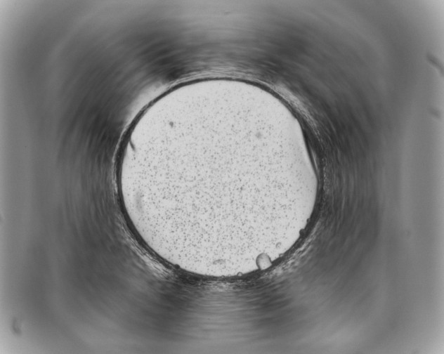 X0000097821230200804111008