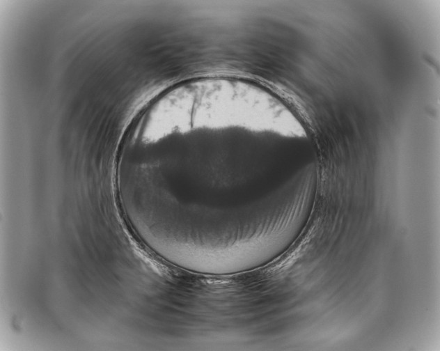 X0000097821231200804111008