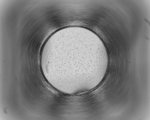 X0000097821232200804111008