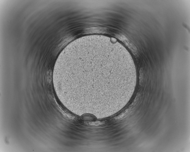 X0000097821233200804111008