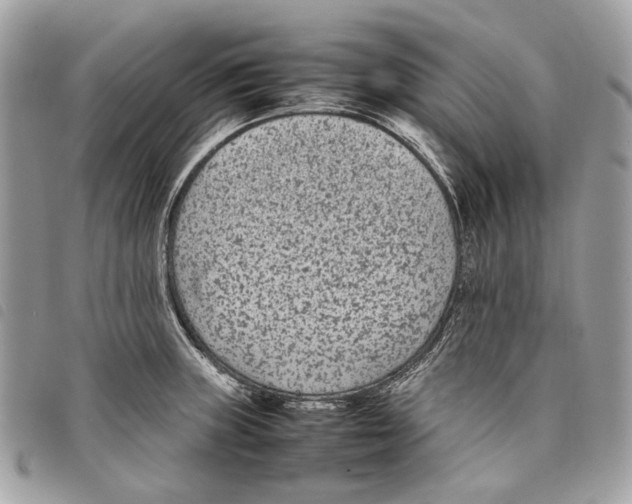 X0000097821235200804111008