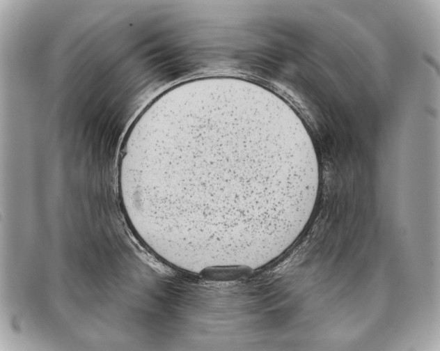 X0000097821236200804111008