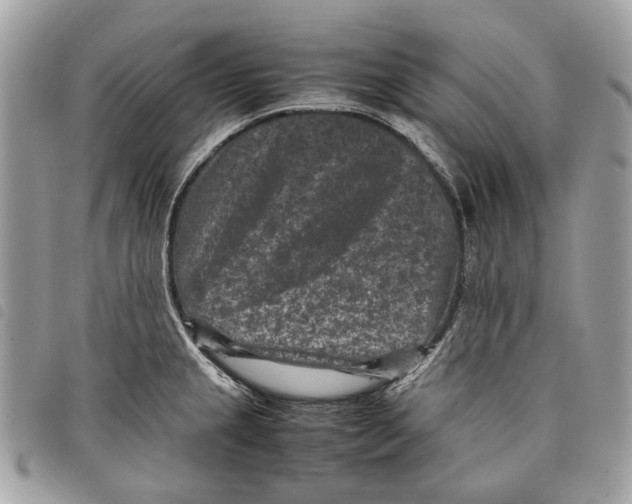 X0000097821237200804111008