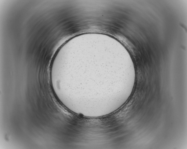 X0000097821238200804111008