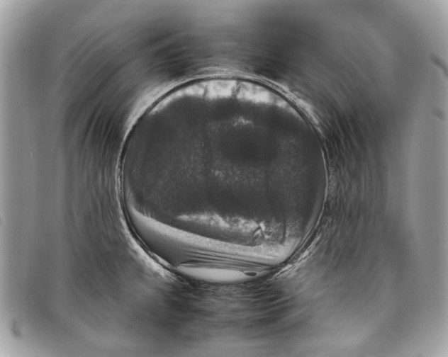 X0000097821239200804111008