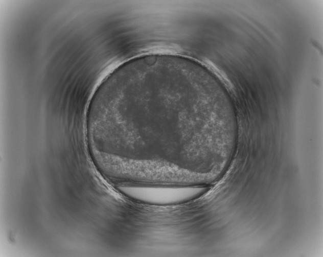 X0000097821240200804111008