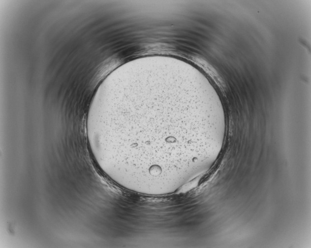 X0000097821241200804111008