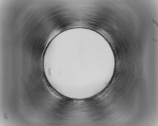 X0000097821242200804111008