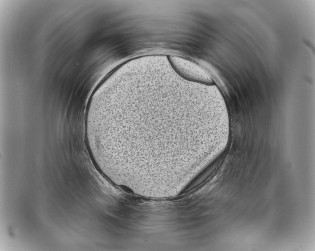 X0000097821244200804111008