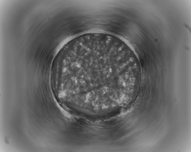 X0000097821245200804111008