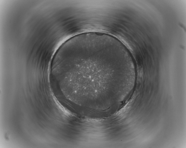 X0000097821246200804111008