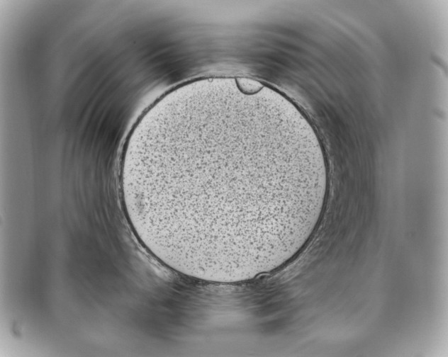 X0000097821248200804111008