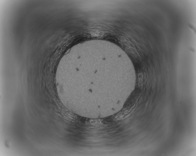 X0000097821249200804111007