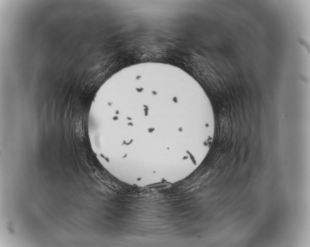 X0000097821250200804111007