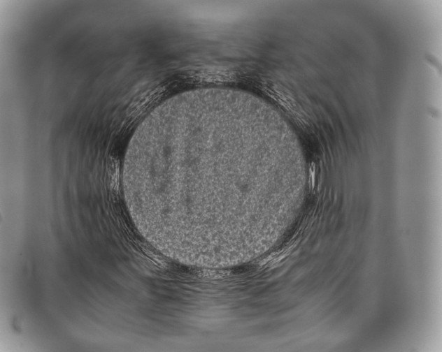 X0000097821251200804111007