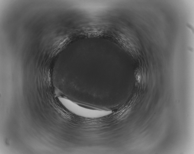 X0000097821252200804111007