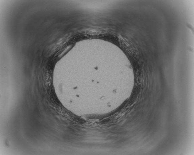 X0000097821253200804111007