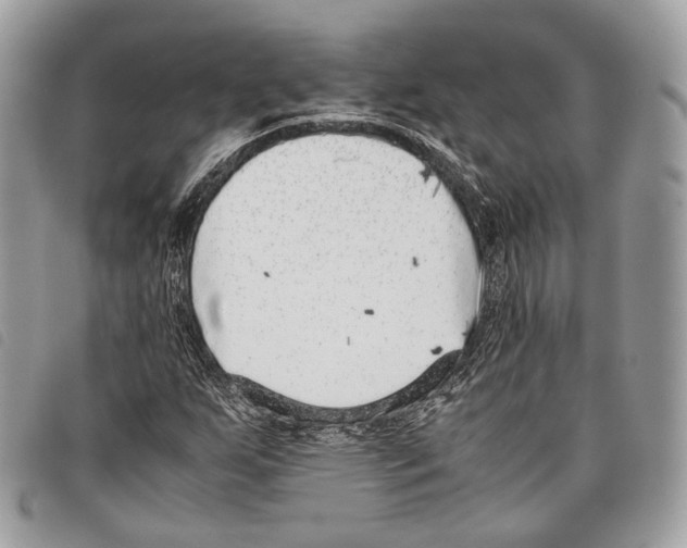 X0000097821255200804111007