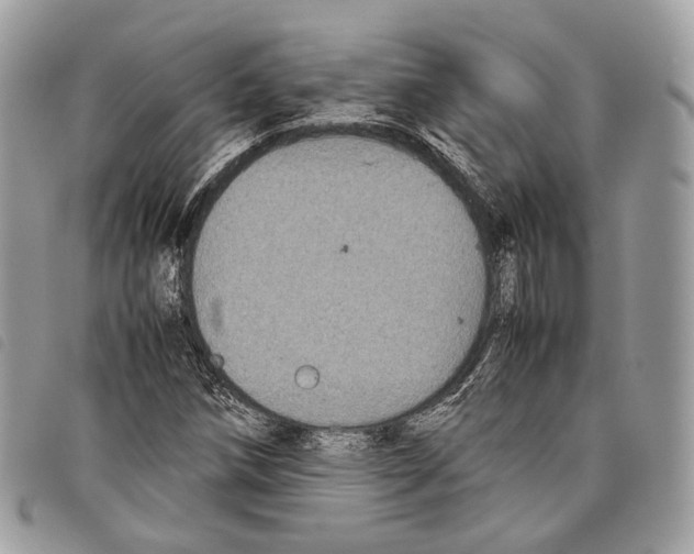 X0000097821258200804111007