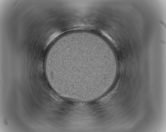 X0000097821259200804111007