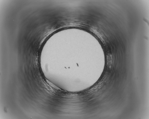 X0000097821260200804111007