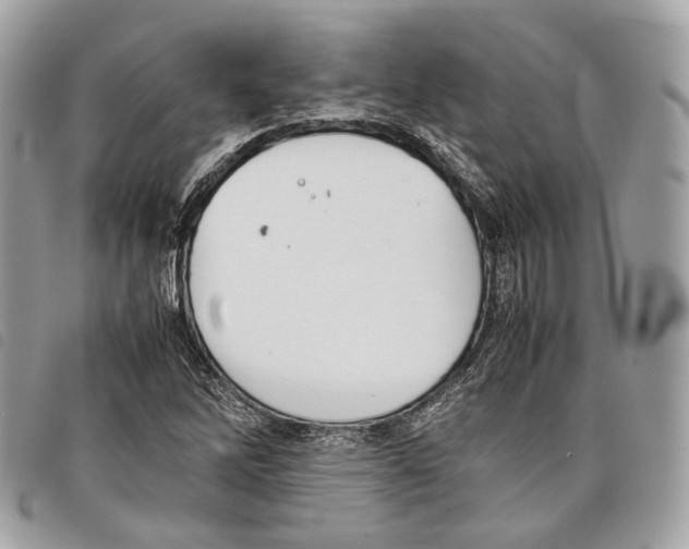 X0000097821262200804111007