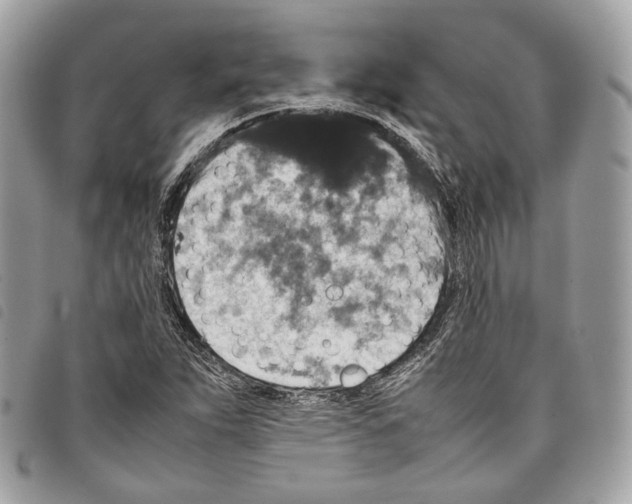 X0000097821263200804111007