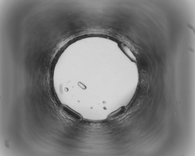 X0000097821264200804111007