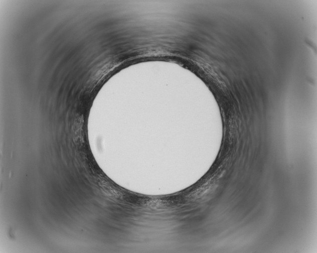 X0000097821265200804111007