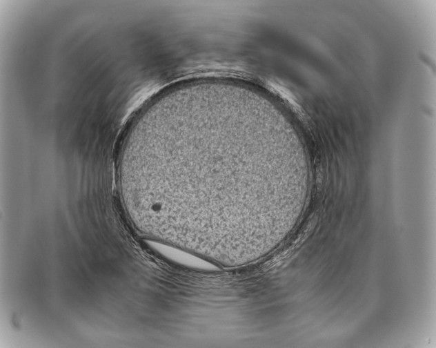 X0000097821267200804111007