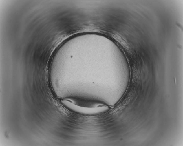 X0000097821268200804111007