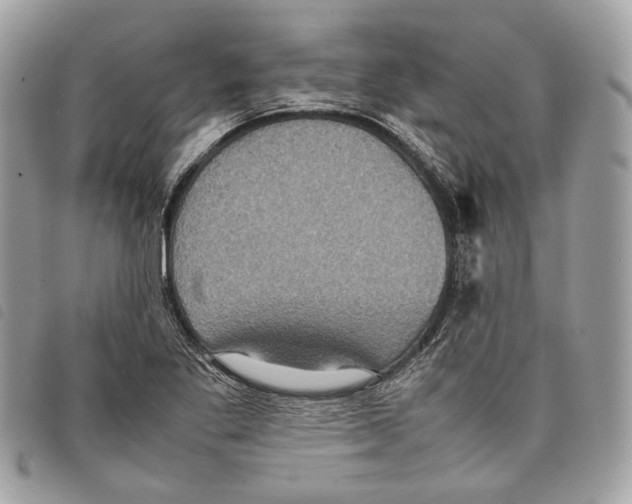 X0000097821269200804111007