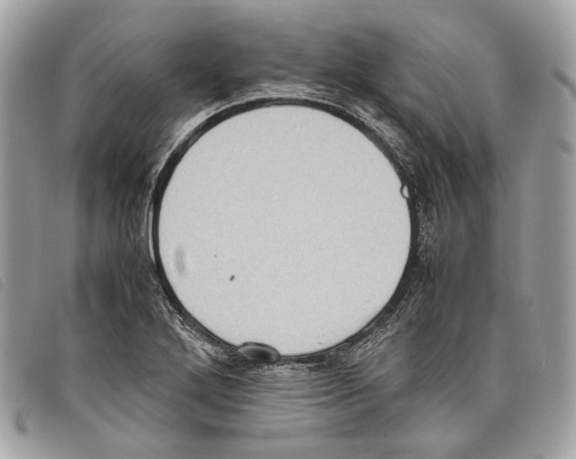 X0000097821272200804111007