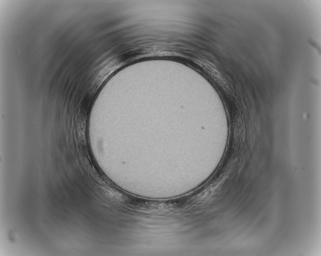 X0000097821273200804111007