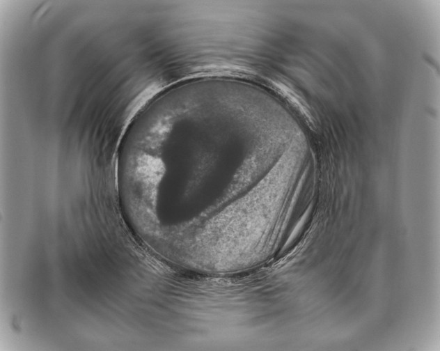 X0000097821275200804111007