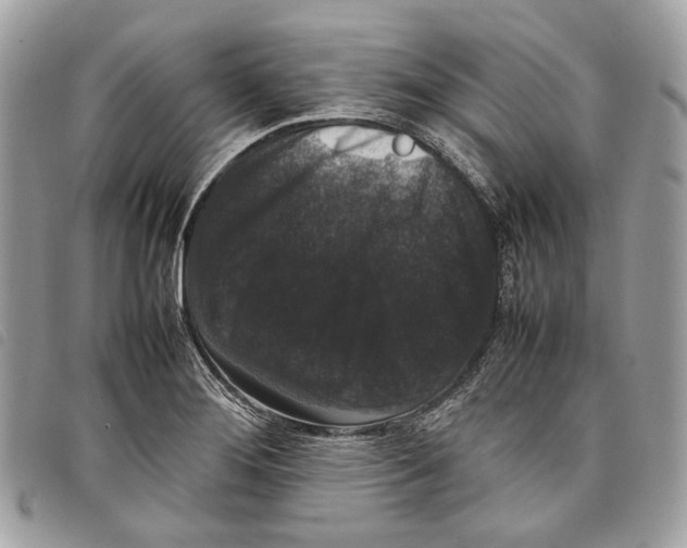 X0000097821276200804111007