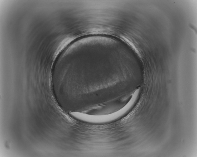 X0000097821277200804111007