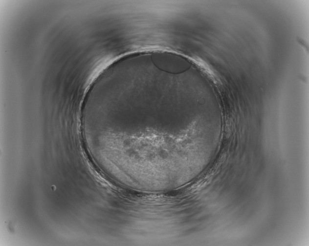 X0000097821279200804111007