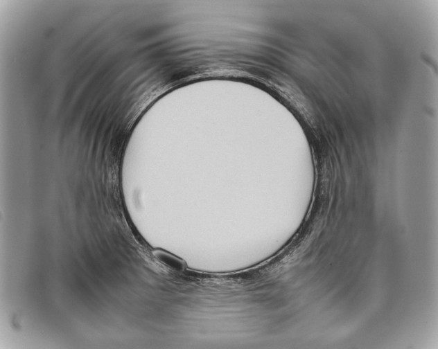 X0000097821281200804111007